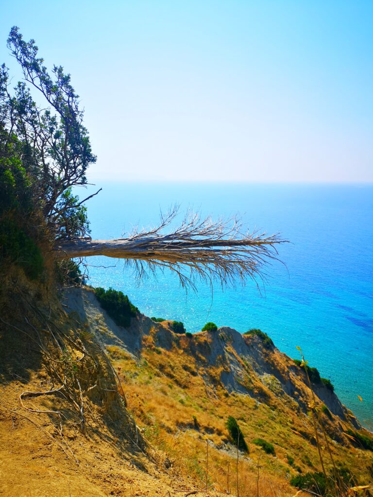 Panagia Arkoudilos